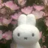 Profile picture of dooboo