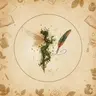 Profile picture of Nymph&Quill