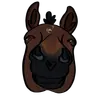 Profile picture of TORG - The Organized Rider's Gameplan