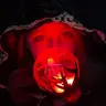 Profile picture of TheKpopHag