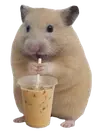 Profile picture of Zynrae