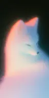 Profile picture of Perfe