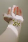 森|moriのプロフィール画像
